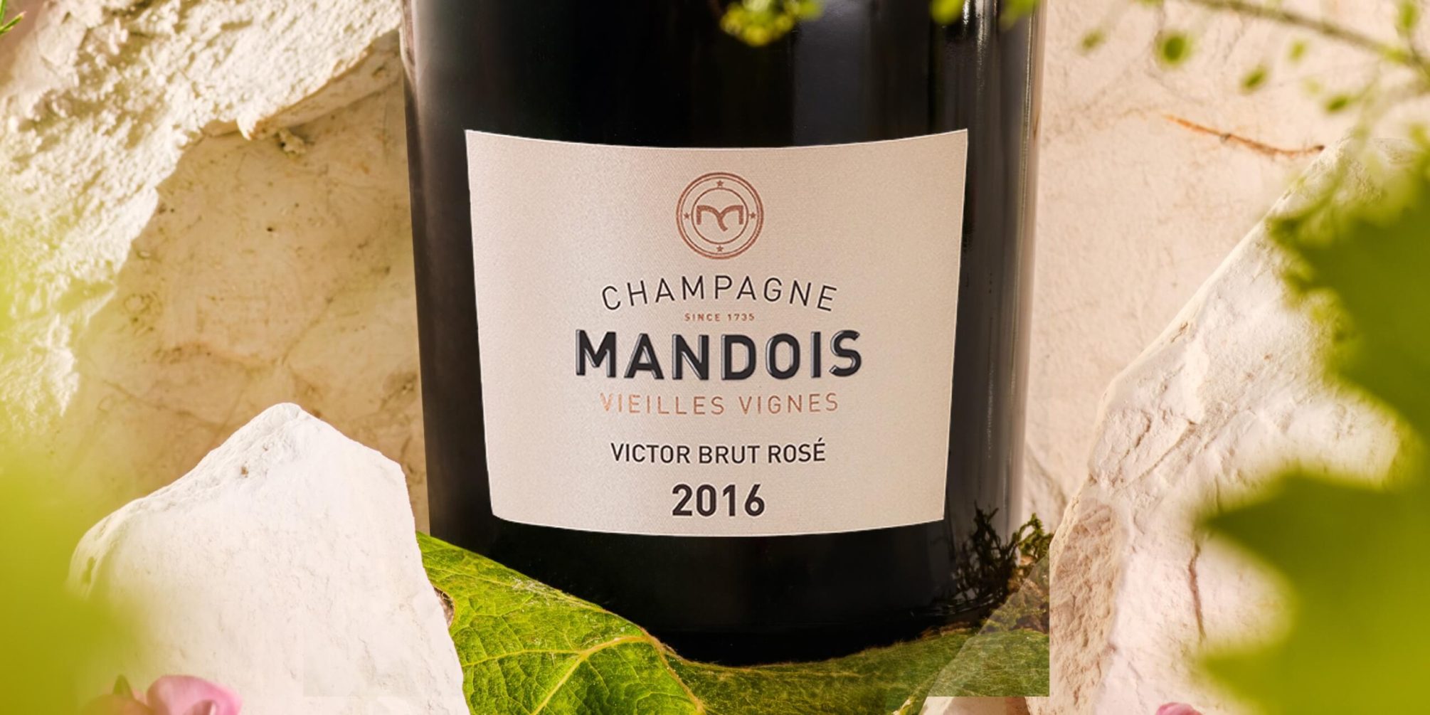 Champagne Mandois - Champagne Mandois