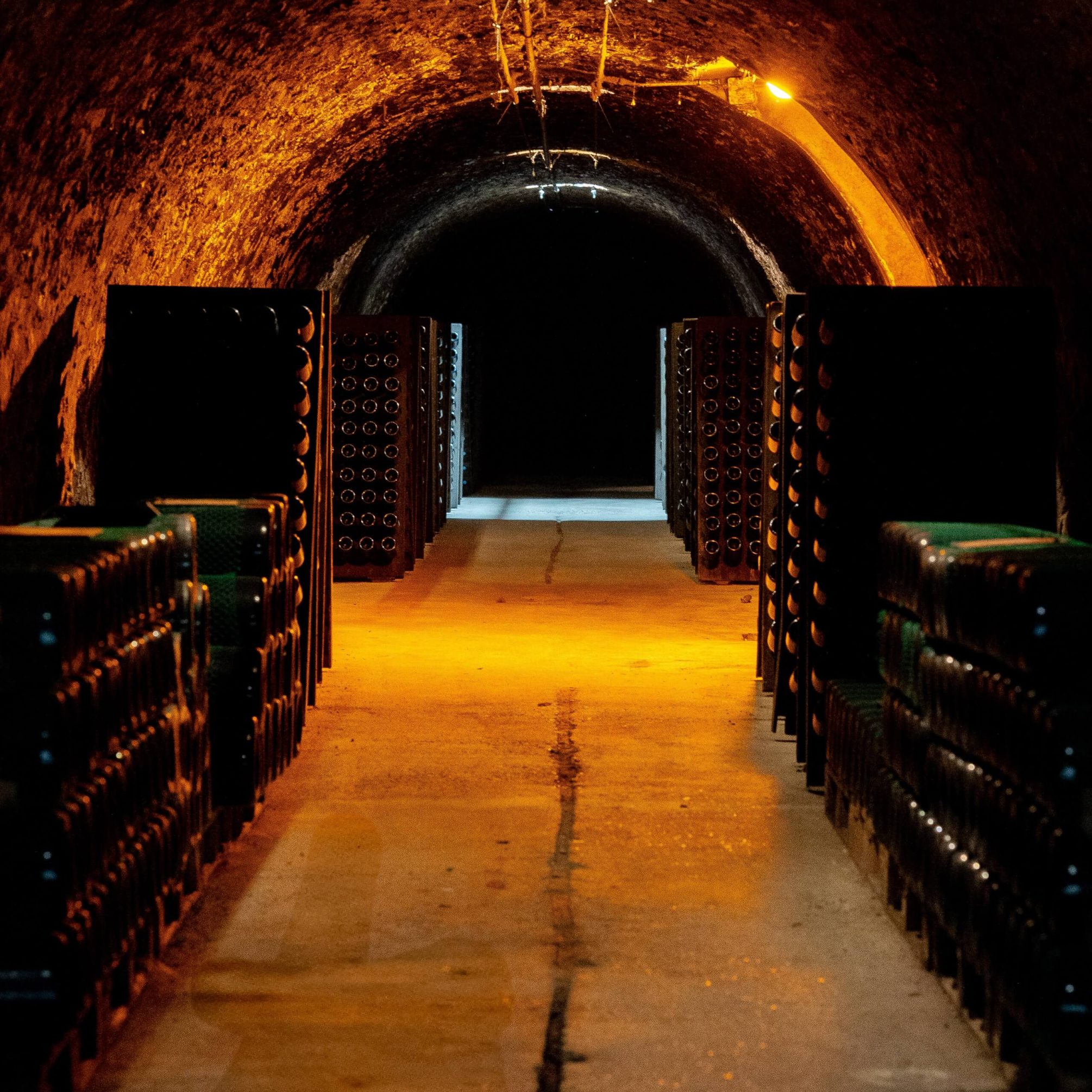Our cellars - Champagne Mandois